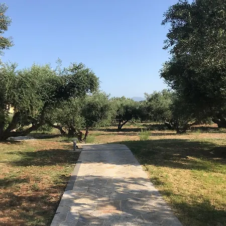 Lassi 3* Lassi (Kefalonia)