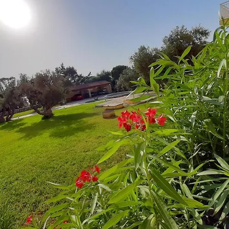 Lassi Ξενοδοχείο 3*